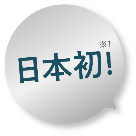 肌断面