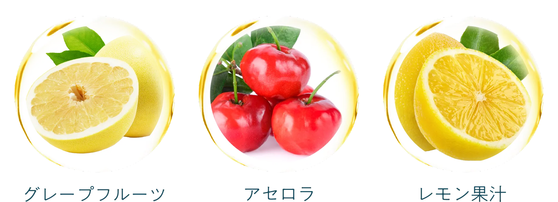フルーツ1