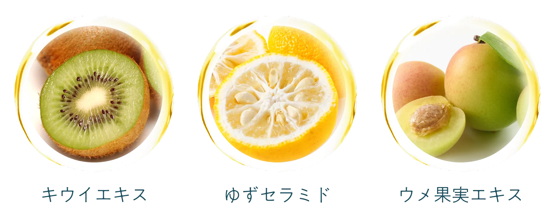 フルーツ3